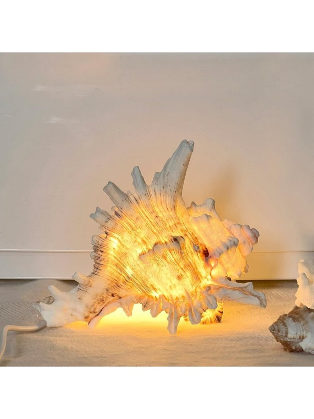 LED Conch Shell Night Light – USB/Battery-Powered Seashell Lamp for Beach Decor